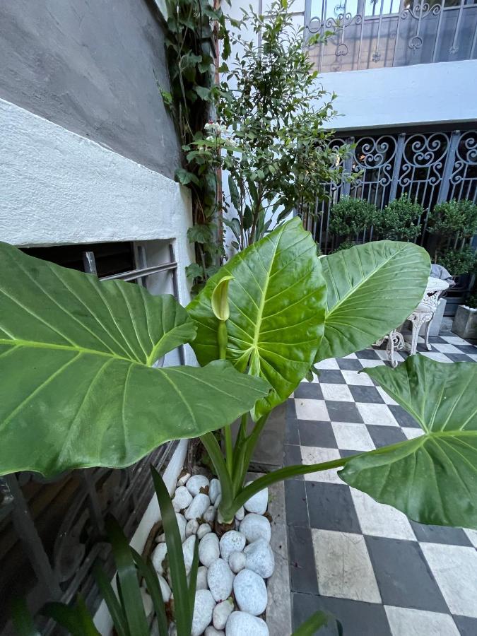 Le Petit Palais Acomodação com café da manhã Buenos Aires Exterior foto